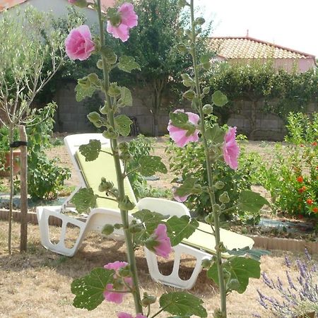 Chambre D'Hote Fleur De Potager Les Sables-d'Olonne Ngoại thất bức ảnh