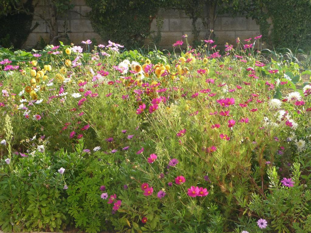 Chambre D'Hote Fleur De Potager Les Sables-d'Olonne Ngoại thất bức ảnh