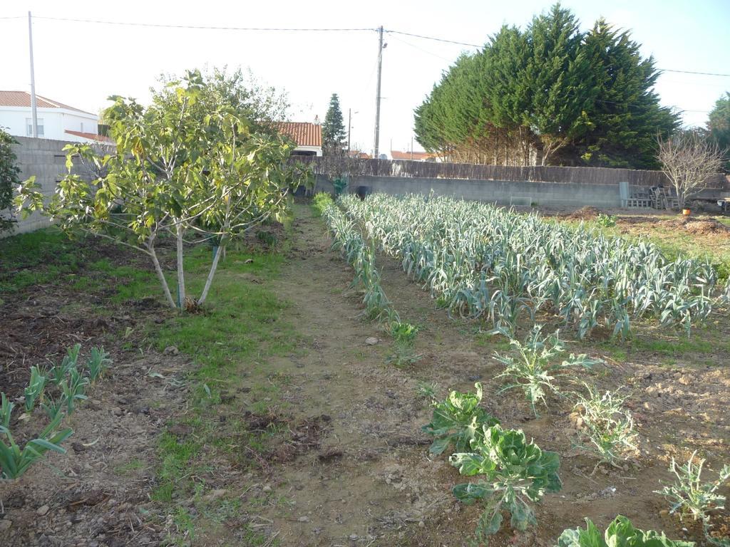 Chambre D'Hote Fleur De Potager Les Sables-d'Olonne Ngoại thất bức ảnh
