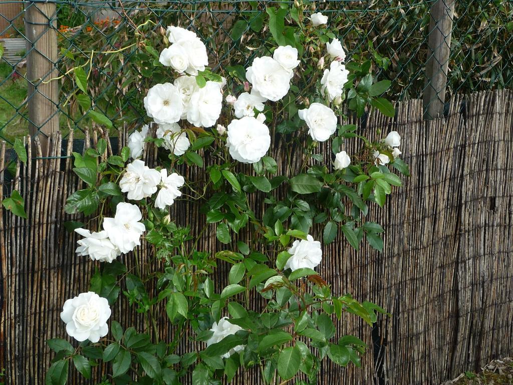 Chambre D'Hote Fleur De Potager Les Sables-d'Olonne Ngoại thất bức ảnh