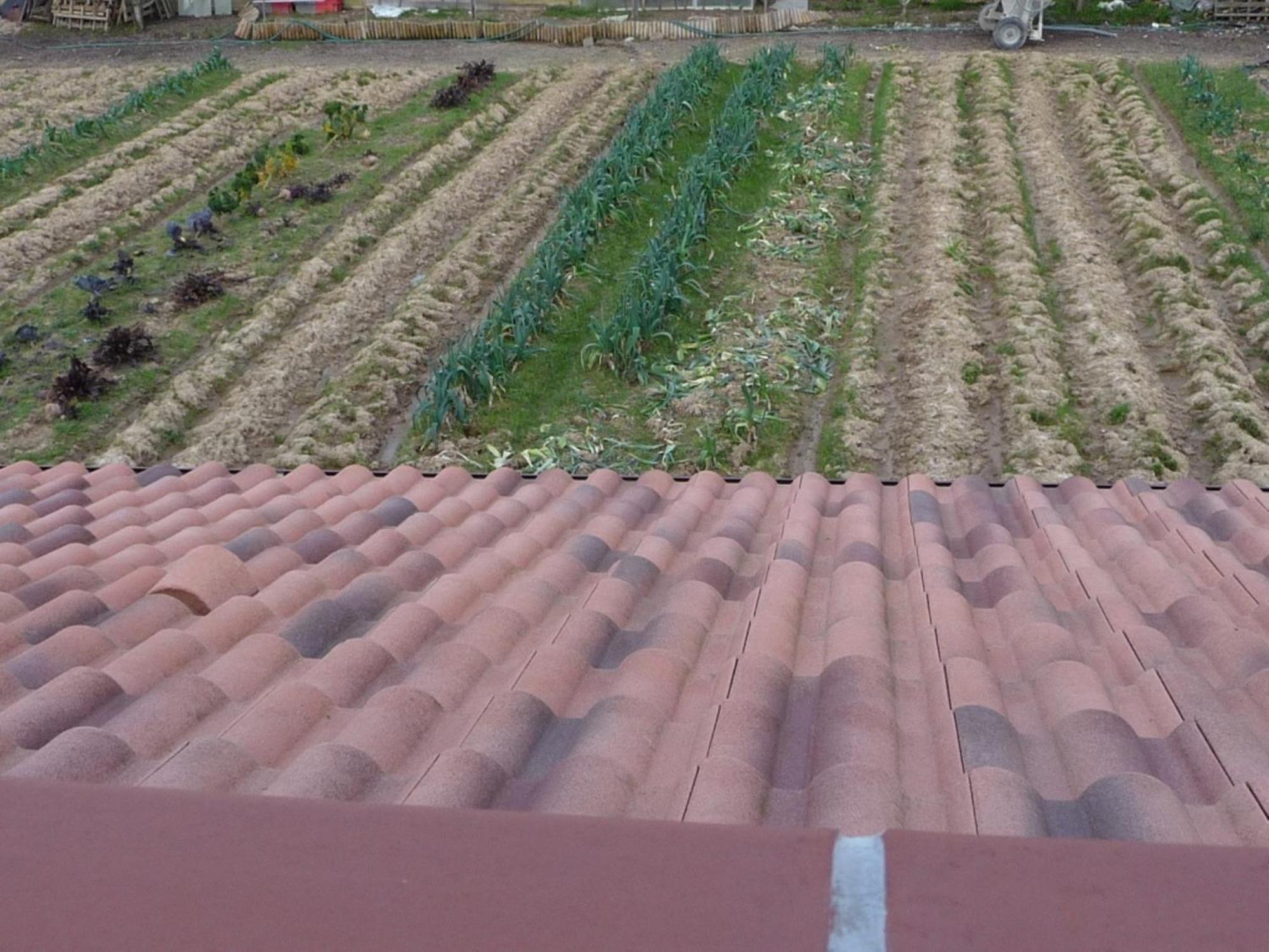 Chambre D'Hote Fleur De Potager Les Sables-d'Olonne Ngoại thất bức ảnh